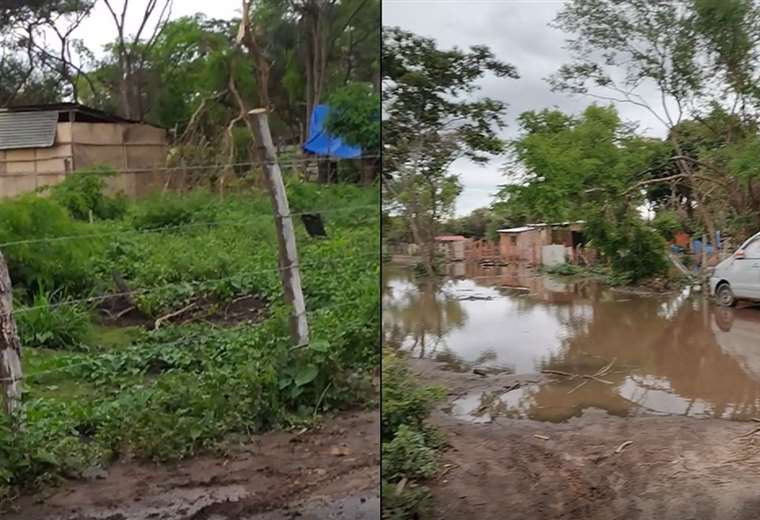 Lee más sobre el artículo Denuncian avasallamiento de 90 hectáreas municipales en zona del Jardín Botánico