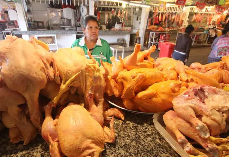 Lee más sobre el artículo El kilo de pollo aumenta a Bs 18 y productores esperan normalización de los costos recién a fin de año