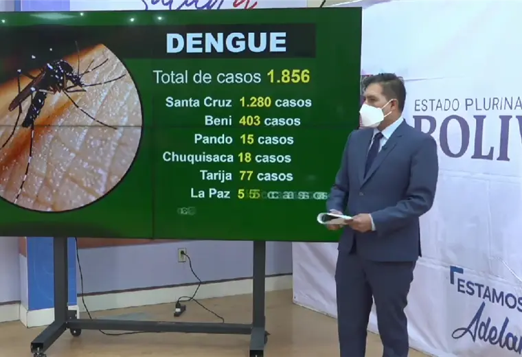 Lee más sobre el artículo Ministerio de Salud confirma 1.856 casos de dengue en todo el país