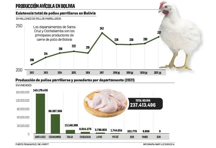 Lee más sobre el artículo Gripe aviar en Bolivia: recomiendan consumir pollo certificado y la carne bien cocida