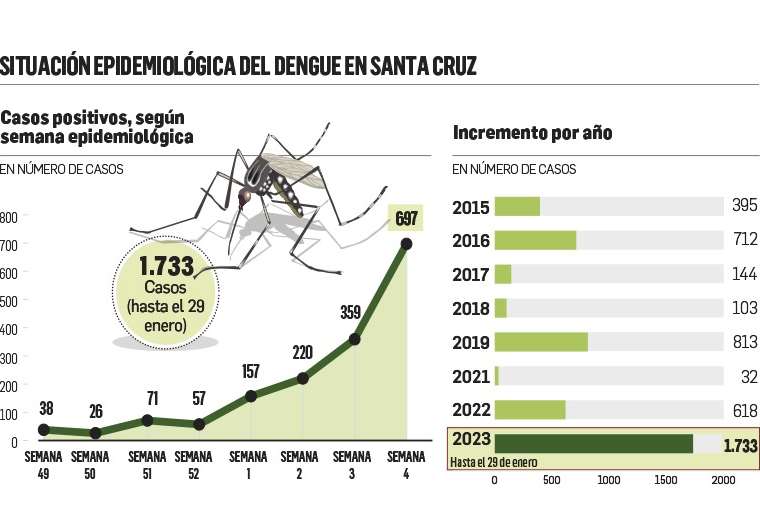 Lee más sobre el artículo En una semana se duplican los casos de dengue en Santa Cruz y se bate el récord de 15 años