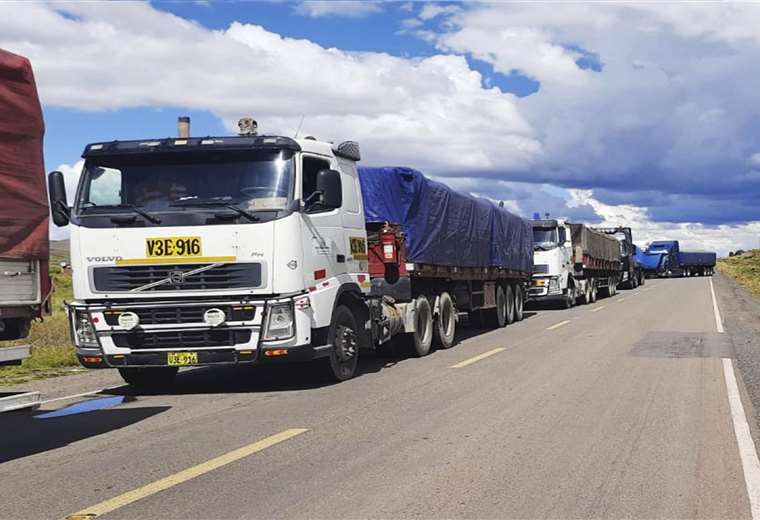 Lee más sobre el artículo Gobierno reporta entre 200 y 300 camiones esperando pasar al lado peruano