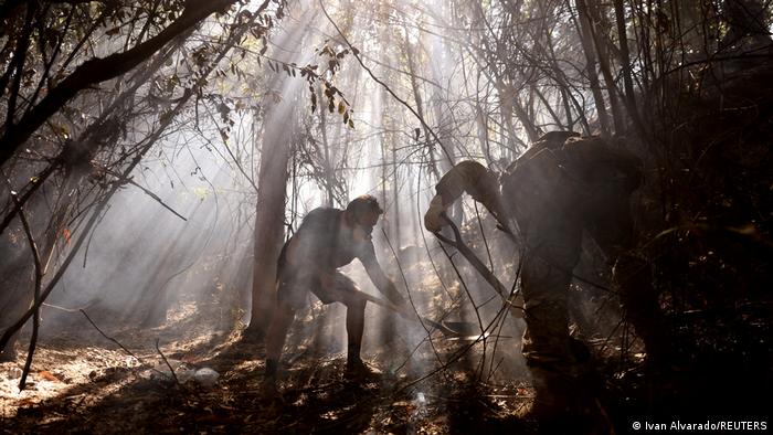 Lee más sobre el artículo Continúa la preocupación por los incesantes incendios en Chile