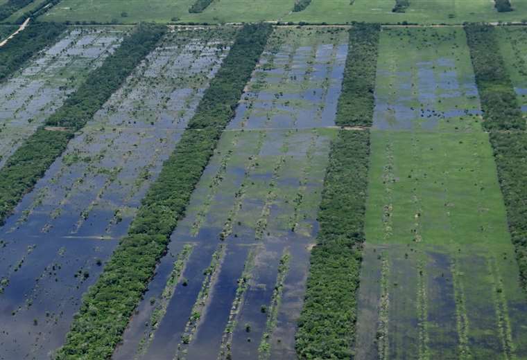 Lee más sobre el artículo Productores agrícolas piden reprogramar deudas y habilitar caminos para salvar lo que se pueda de sus cosechas