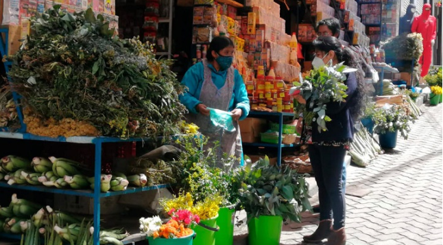 Lee más sobre el artículo Japón busca acuerdos con Bolivia para intercambiar experiencias en medicina tradicional