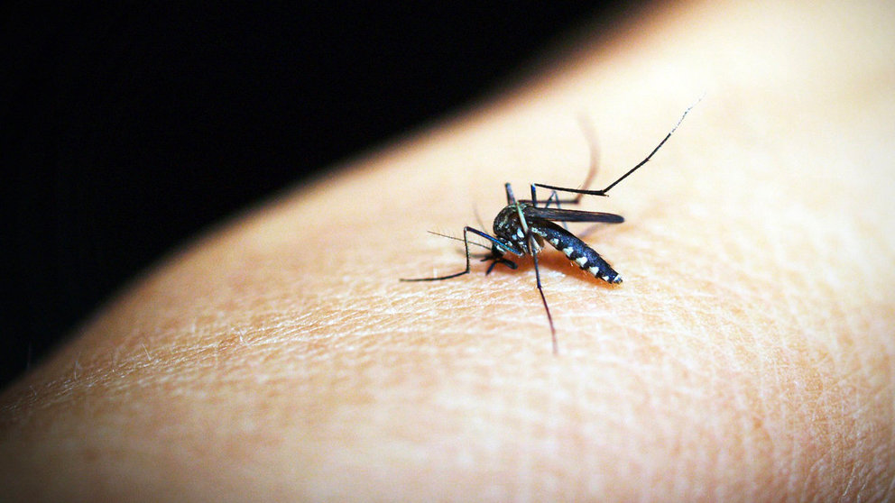 Lee más sobre el artículo Casos nuevos de dengue pasan los 1.300 durante la semana en el país