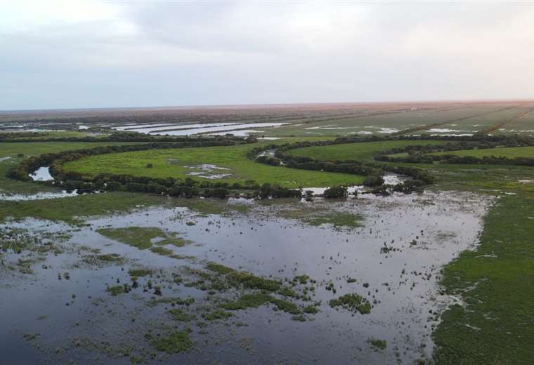 Lee más sobre el artículo Declaran Emergencia Departamental en Santa Cruz para atender a 11 municipios en desastre por sequías e inundaciones