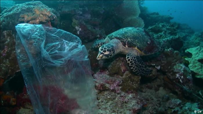 Lee más sobre el artículo Costa Rica prohíbe bolsas y pajillas plásticas y limita las botellas