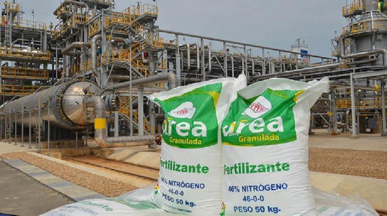 Lee más sobre el artículo Planta de urea produce solo un 48% de su capacidad instalada y YPFB confirma que en junio la fábrica parará