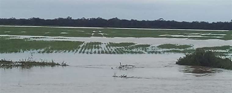 Lee más sobre el artículo Inundaciones y heladas afectan 24.500 hectáreas de cultivos en cuatro departamentos