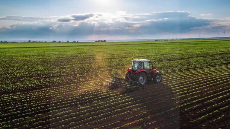 Lee más sobre el artículo Por primera vez en 19 años, ingresos por agronegocios superan a hidrocarburos en Bolivia