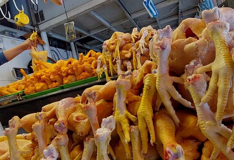 Lee más sobre el artículo Helada incide en costo de alimentos y vecinos en alerta por falta de control