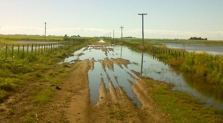 Lee más sobre el artículo Zafra cañera, en tres meses, avanzó 22 %, por lluvias