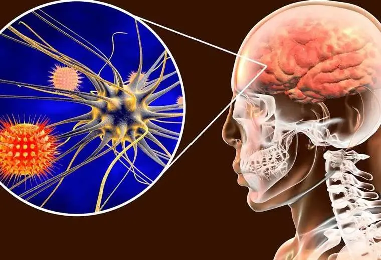 Lee más sobre el artículo Sedes confirma la contención del brote de meningitis en Santa Cruz