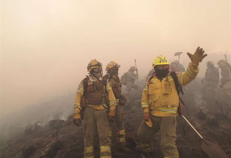 Lee más sobre el artículo Se registran incendios forestales en cuatro de nueve regiones del país