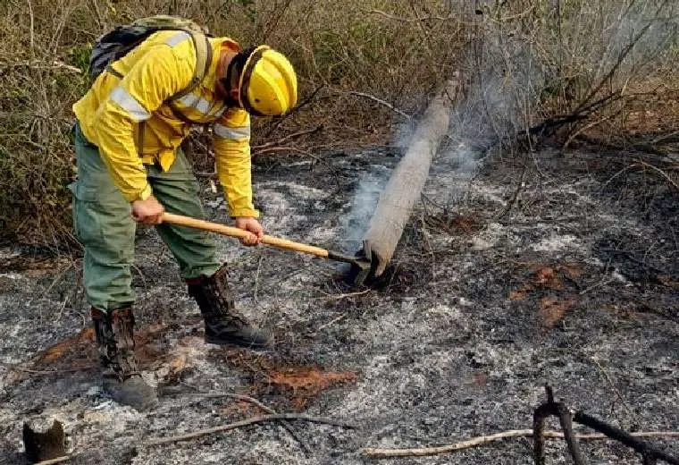 Lee más sobre el artículo Gobernación declara alerta roja por incendios forestales en Santa Cruz