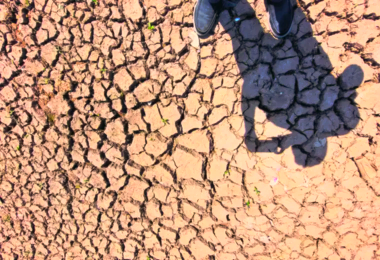 Lee más sobre el artículo Cinco municipios declaran desastre por sequía y hay 9.378 familias afectadas