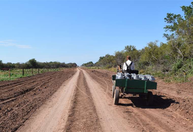Lee más sobre el artículo Arce presenta proyecto de ley para regular la tenencia de tierras a extranjeros