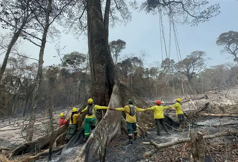 Lee más sobre el artículo Santa Cruz en llamas: 16 municipios presentan emergencias por incendios forestales