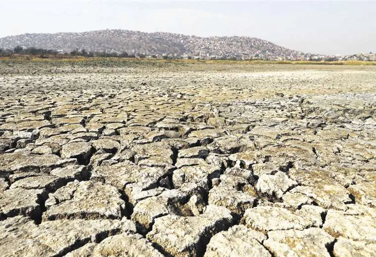Lee más sobre el artículo 13 municipios cruceños se declararon en desastre por sequía