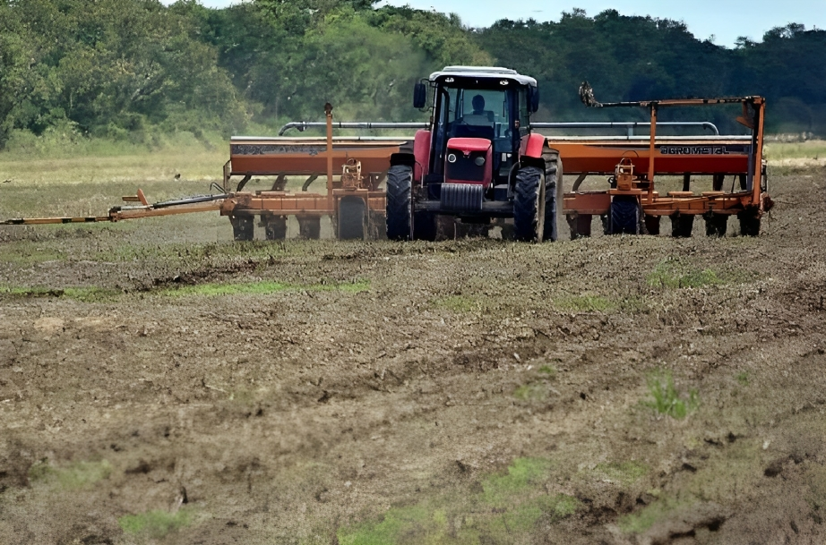 Lee más sobre el artículo CAO plantea priorizar la entrega de diésel para el sector productor de alimentos