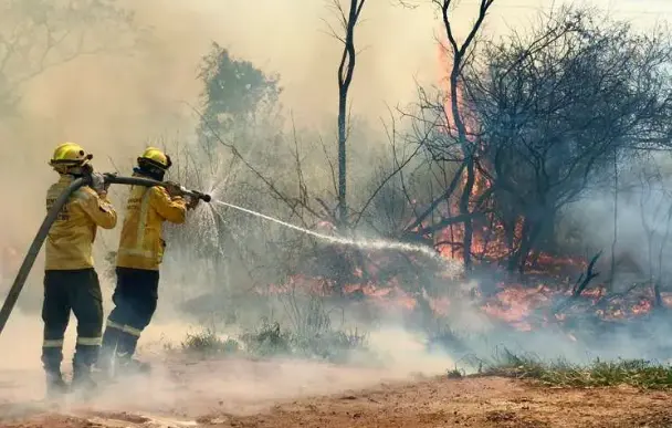 Lee más sobre el artículo Aumentan a 11 los incendios forestales activos en Santa Cruz; el fuego se extiende a siete municipios