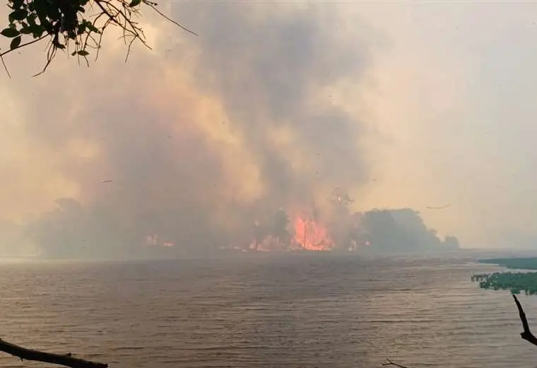 Lee más sobre el artículo Incendios forestales arrasan con más de 300 mil hectáreas de bosque en el departamento cruceño