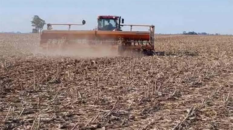 Lee más sobre el artículo Se retrasa la siembra de verano y productores advierten una baja en la producción por la sequía