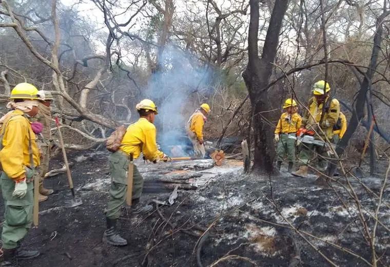 Lee más sobre el artículo Santa Cruz lleva 6 días sin incendios forestales, pero la alerta roja se mantiene