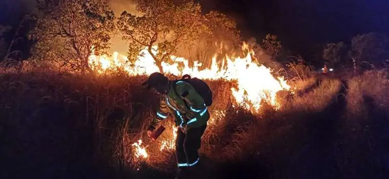 Lee más sobre el artículo La lluvia redujo a la mitad la cantidad de incendios forestales en Santa Cruz