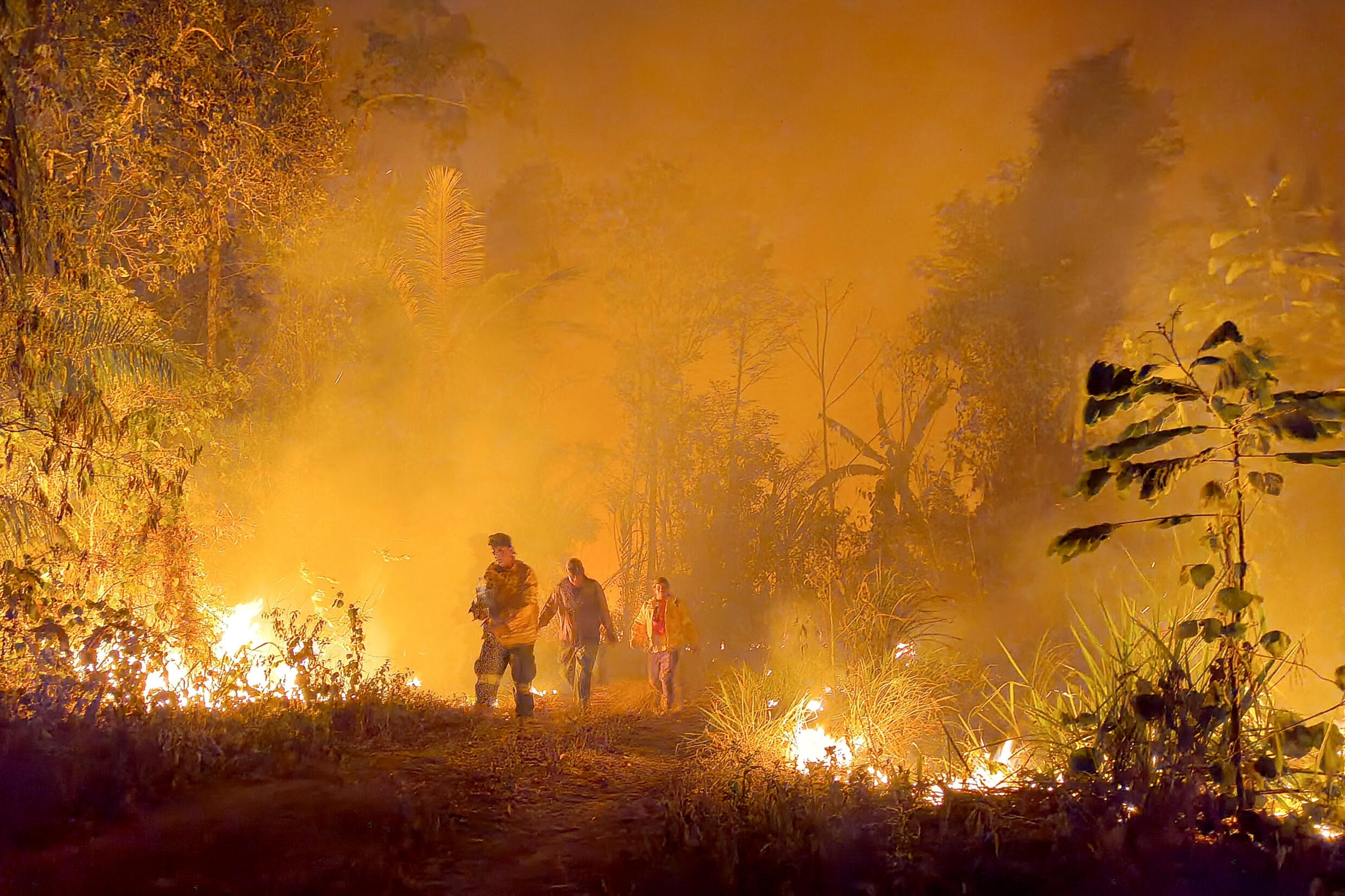 Lee más sobre el artículo ABT confirma que más de tres millones de hectáreas se quemaron en el país; Beni y Santa Cruz los más afectados