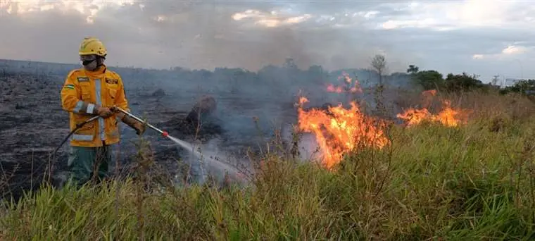 Lee más sobre el artículo Dan por finalizada la época crítica de incendios forestales en Santa Cruz