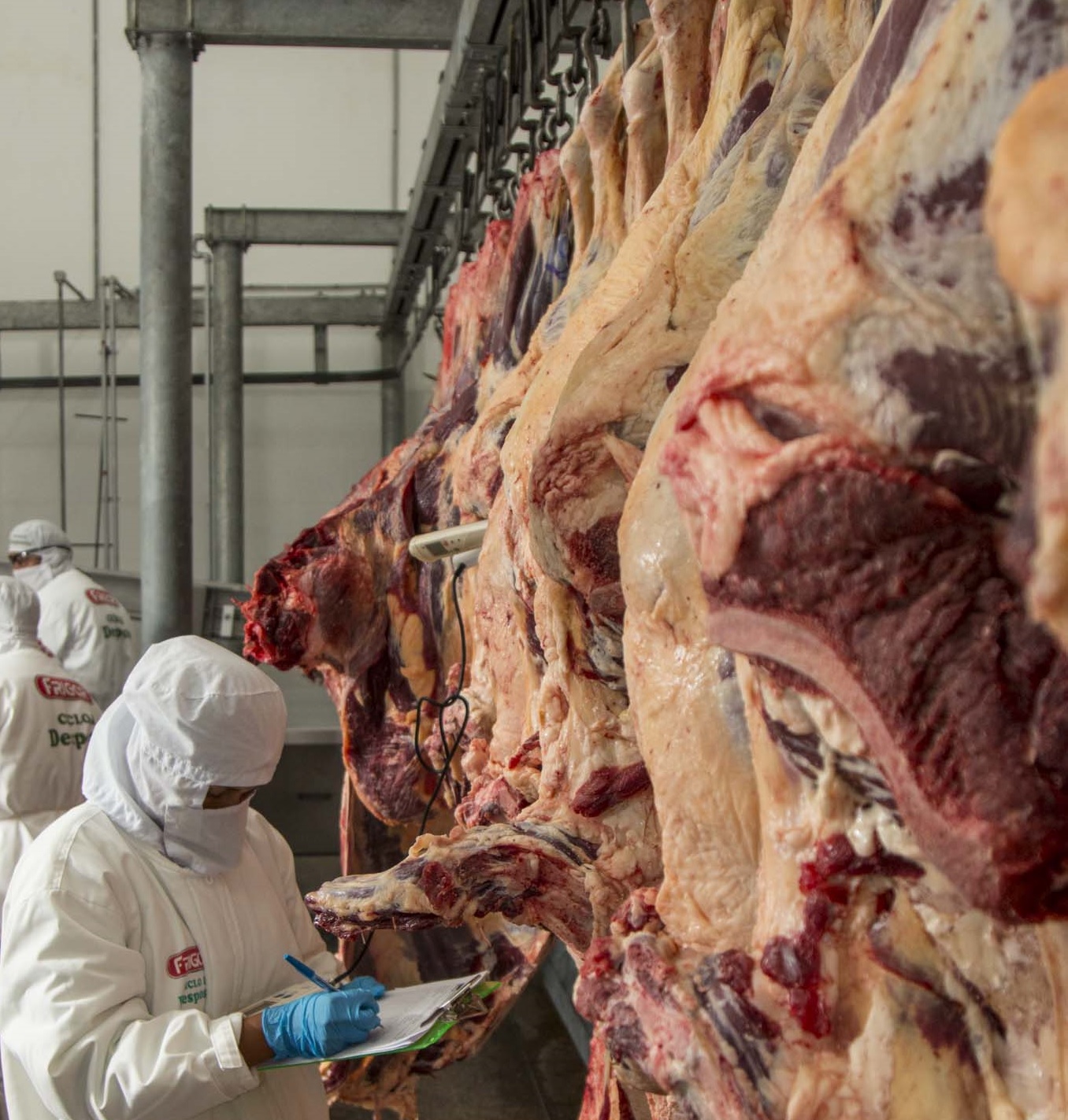 Lee más sobre el artículo Bolivia cuenta con 11,4 millones de cabezas de ganado y garantiza “abastecimiento pleno” y excedentes de carne de res